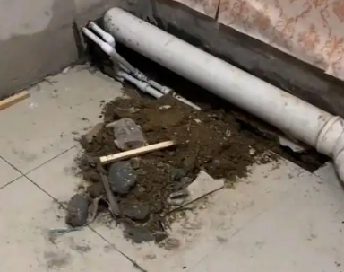 高州卫生间漏水检测哪家好
