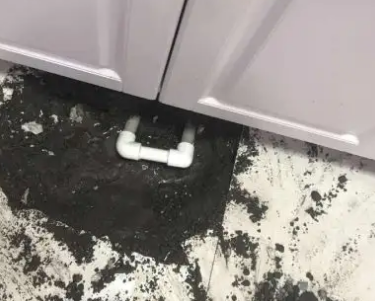 高州查漏水哪家好